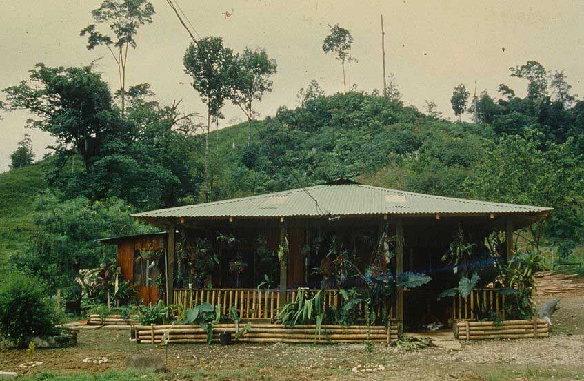 1993 Tropenstation