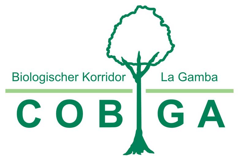 2015 Cobiga Logo